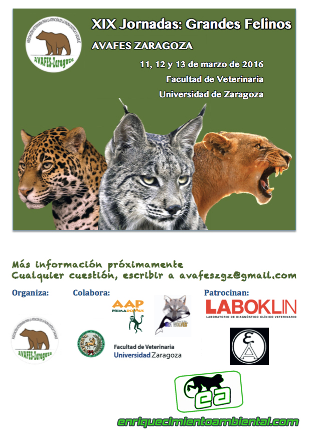 XIX jornadas grandes felinos. enriquecimientoambiental.com