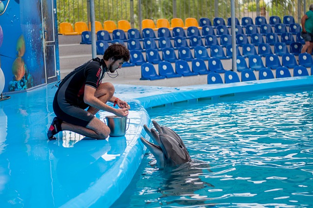 Delfín en cautividad.
