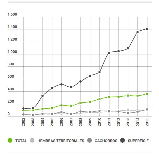 Evolución de la población del lince ibérico en Andalucía