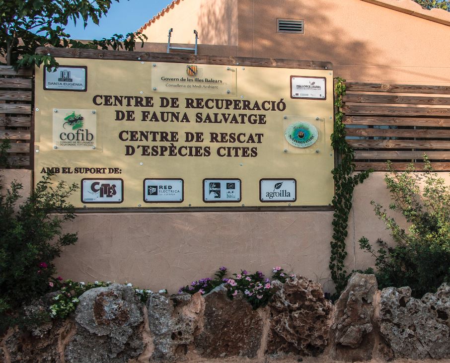 Centro de conservación en mallorca.
