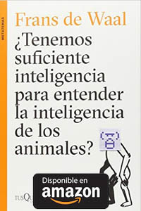 ¿Tenemos Suficiente Inteligencia Para Entender La Inteligencia De Los Animales?